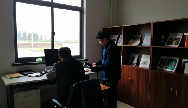 有机大米提升户外场地使用效率