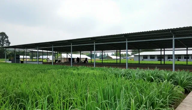 农产品基地合作中病虫害防治的实践与趋势